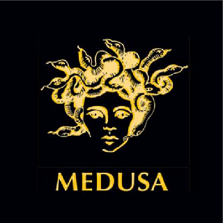 Medusa Logo